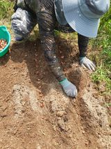 팜모닝 기타작물·영농일지 게시글 이미지