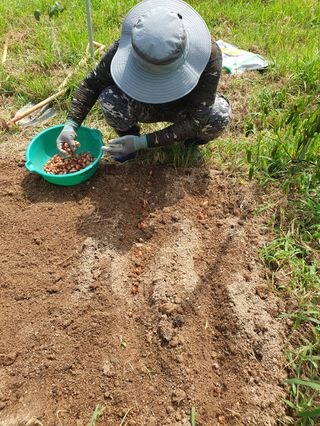 김회철님의 기타작물 · 영농일지 작성글 사진
