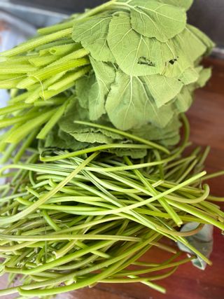 김회철님의 기타작물 · 영농일지 작성글 사진