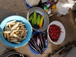 신동수님의 고추 · 영농일지 작성글 사진