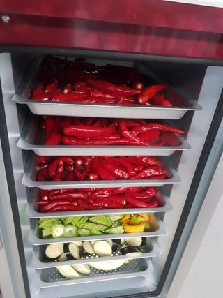 신동수님의 고추 · 영농일지 작성글 사진