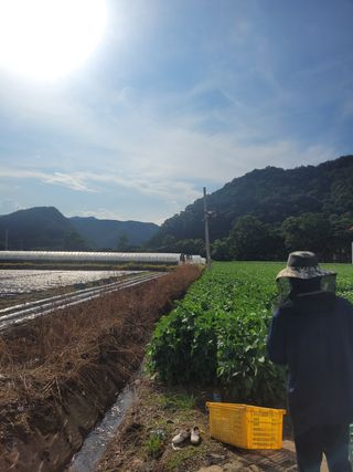 김연태님의 콩 · 영농일지 작성글 사진