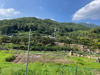 도곡님의 배추 · 토양준비 작성글 사진