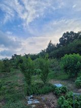 팜모닝 나의 농사 필수품 소개하기·참여글 게시글 이미지