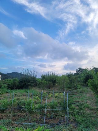 황창옥님의 나의 농사 필수품 소개하기 · 참여글 작성글 사진