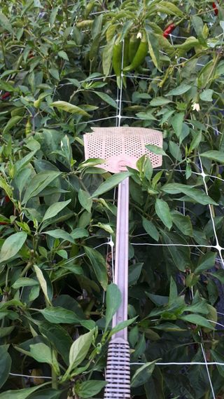 둥이농장(김준태)님의 나의 농사 필수품 소개하기 · 참여글 작성글 사진