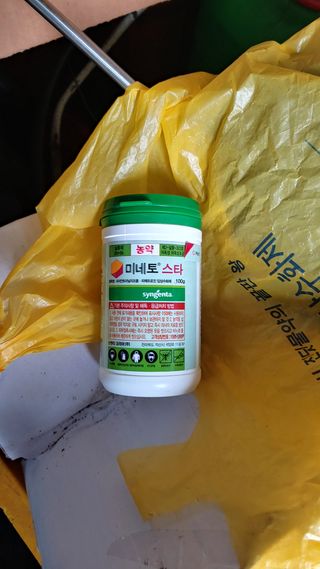 보물섬남자님의 귤 · 영농일지 작성글 사진