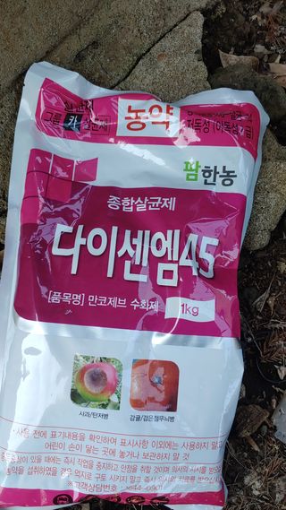 보물섬남자님의 귤 · 영농일지 작성글 사진