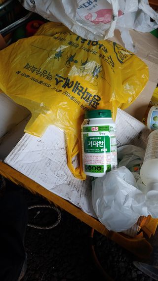 보물섬남자님의 귤 · 영농일지 작성글 사진