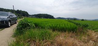 이흥옥님의 벼 · 자유게시판 작성글 사진