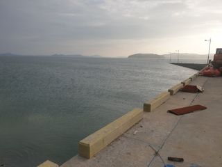 허굴산농장님의 자유주제 · 자유게시판 작성글 사진