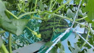 산막골농부님의 자유주제 · 사진전 작성글 사진