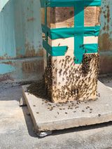 팜모닝 자유주제·자유게시판 게시글 이미지