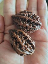 팜모닝 자유주제·사진전 게시글 이미지