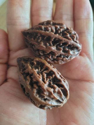 주)미산 조전무님의 자유주제 · 사진전 작성글 사진