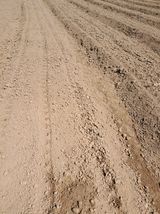 팜모닝 자유주제·자유게시판 게시글 이미지