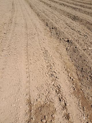 리포님의 자유주제 · 자유게시판 작성글 사진