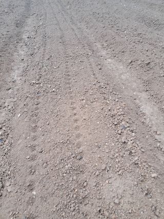 리포님의 자유주제 · 자유게시판 작성글 사진