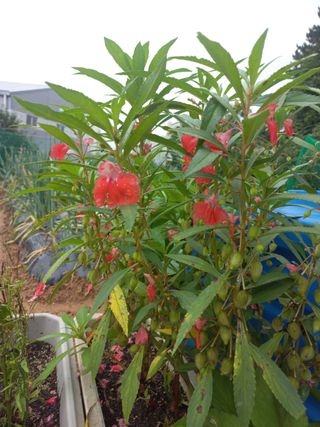 천운님의 자유주제 · 자유게시판 작성글 사진