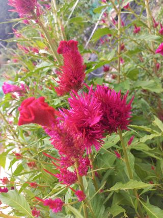 천운님의 자유주제 · 자유게시판 작성글 사진