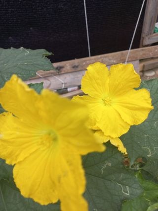 천운님의 자유주제 · 자유게시판 작성글 사진