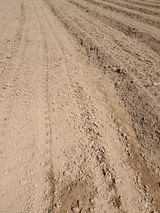 팜모닝 기타작물·영농일지 게시글 이미지