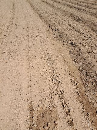 리포님의 기타작물 · 영농일지 작성글 사진