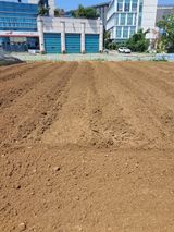 팜모닝 기타작물·영농일지 게시글 이미지