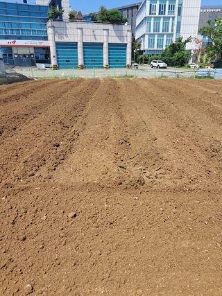 리포님의 기타작물 · 영농일지 작성글 사진