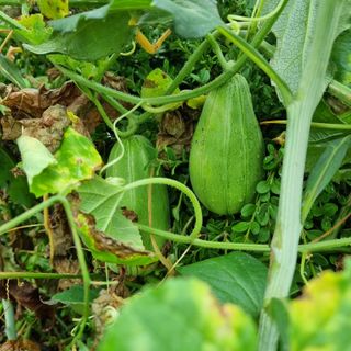 이종권님의 기타작물 · 자유게시판 작성글 사진