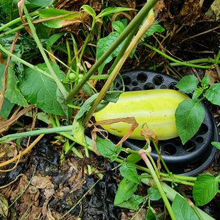 이종권님의 기타작물 · 자유게시판 작성글 사진