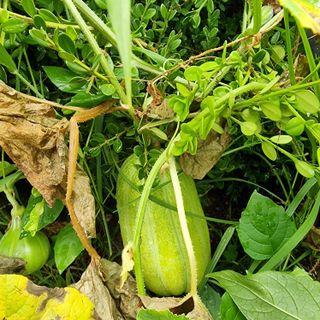 이종권님의 기타작물 · 자유게시판 작성글 사진