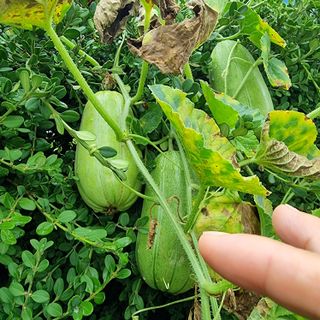 이종권님의 기타작물 · 자유게시판 작성글 사진