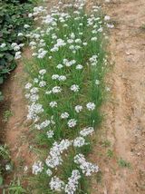 팜모닝 자유주제·자유게시판 게시글 이미지