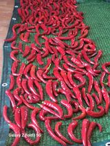 팜모닝 작목반,동호회 등 나의 모임은?·참여글 게시글 이미지