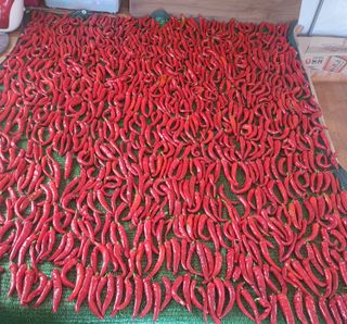 아림농장 대저2동 님의 작목반,동호회 등 나의 모임은? · 참여글 작성글 사진