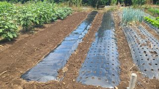 오정현님의 기타작물 · 자유게시판 작성글 사진