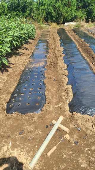 오정현님의 기타작물 · 자유게시판 작성글 사진