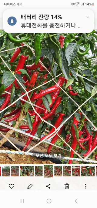 정 미라님의 작목반,동호회 등 나의 모임은? · 참여글 작성글 사진