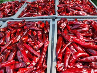 조선된장님의 작목반,동호회 등 나의 모임은? · 참여글 작성글 사진