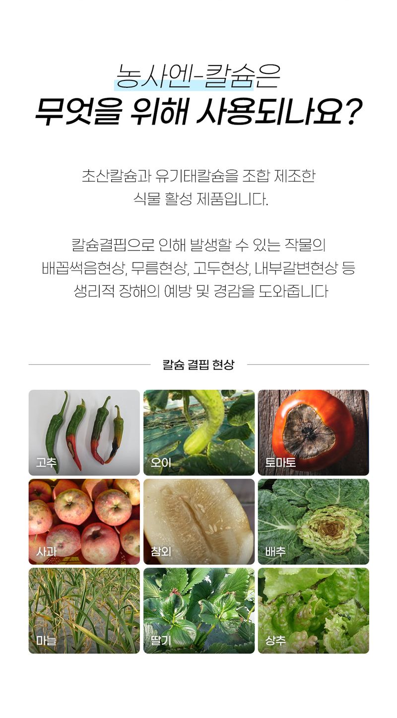농사엔 공식님의 장터 판매 상품 [(4+2증정) 농사엔 칼슘 500ml 영양제] 첨부 사진
