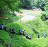 팜모닝 자유주제·자유게시판 게시글 이미지