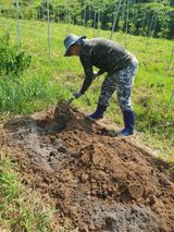 팜모닝 자유주제·자유게시판 게시글 이미지