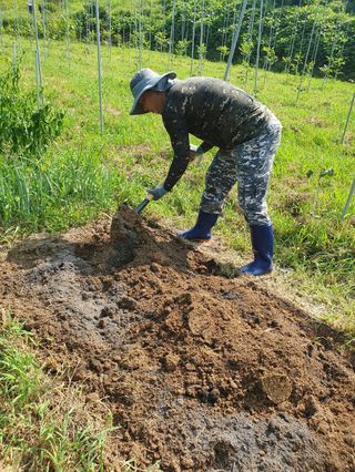 김회철님의 자유주제 · 자유게시판 작성글 사진