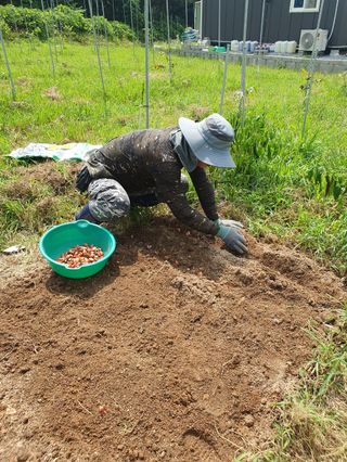 김회철님의 자유주제 · 자유게시판 작성글 사진