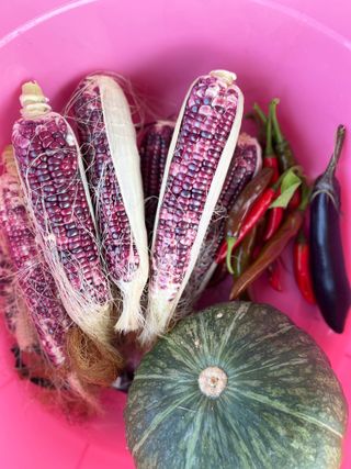 김회철님의 자유주제 · 자유게시판 작성글 사진