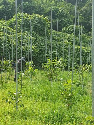 김회철님의 자유주제 · 자유게시판 작성글 사진