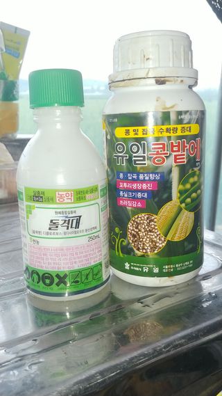 청산님의 콩 · 영농일지 작성글 사진