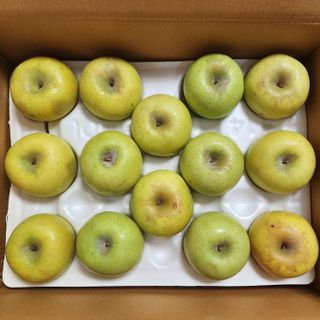 프룻하늬님의 작성글 사진