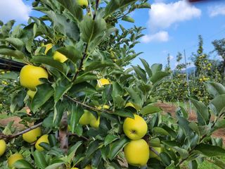 프룻하늬님의 작성글 사진